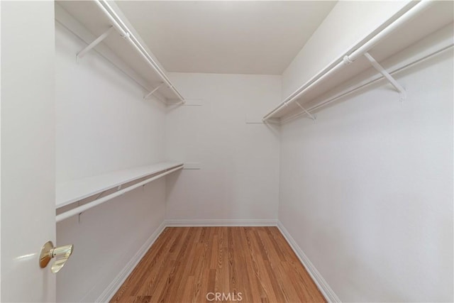 walk in closet with light wood finished floors