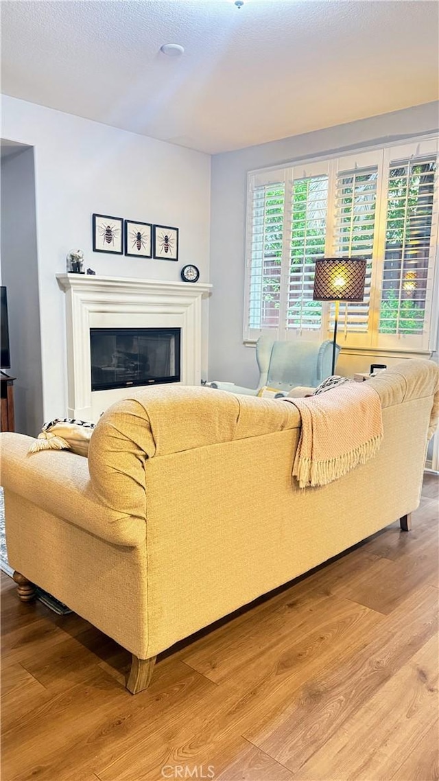 24939 Coral Canyon Rd, Corona, CA 92883 - living room featuring light wood finished floors and a glass covered fireplace