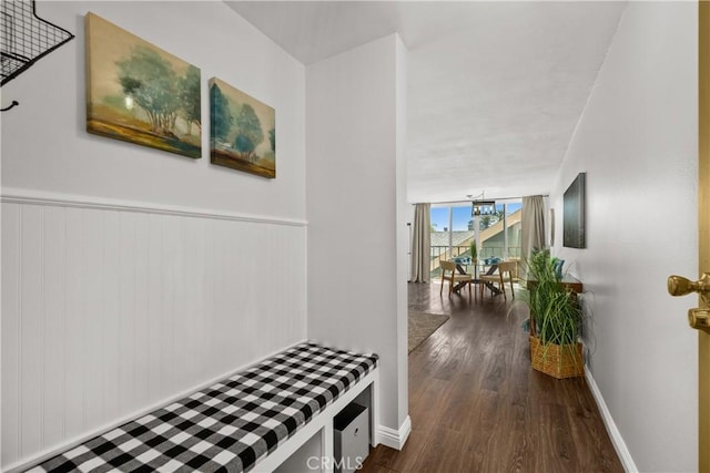 hallway featuring a wall of windows, baseboards, and dark wood-type flooring