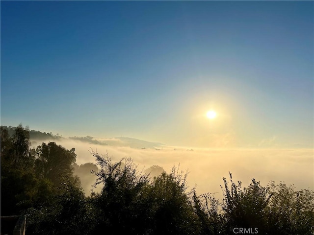 view of nature