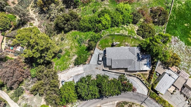 bird's eye view