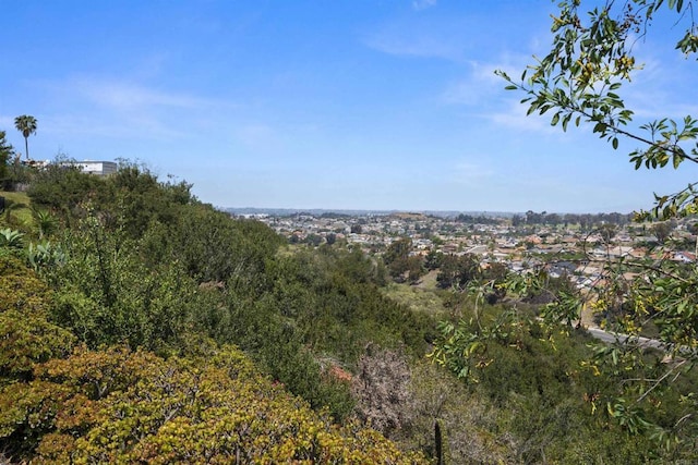 view of local wilderness