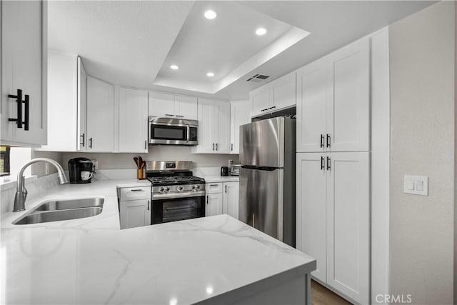 18114 Erik Ct Unit 5131, Canyon Country, CA 91387 - kitchen featuring appliances with stainless steel finishes, a sink, a tray ceiling, recessed lighting, and light stone counters