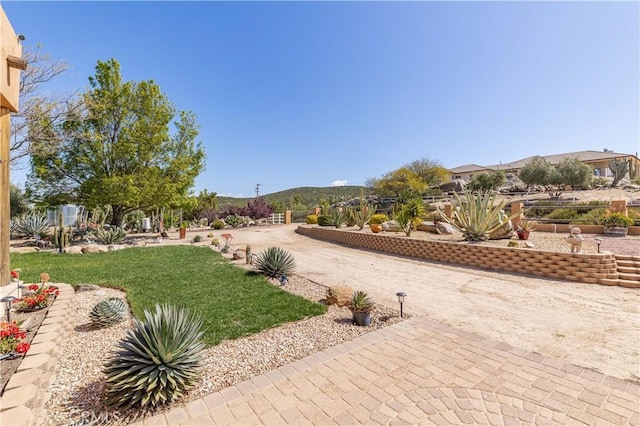 35155 Sawh Ct, Sage, CA 92544 - view of grassy yard