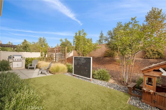 view of yard with a patio, a fenced backyard, and area for grilling