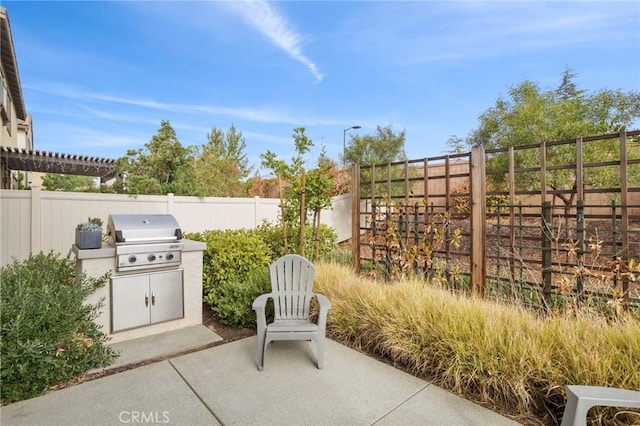 view of patio / terrace with area for grilling, an outdoor kitchen, and a fenced backyard