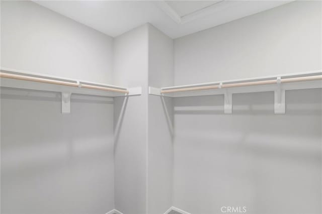view of walk in closet