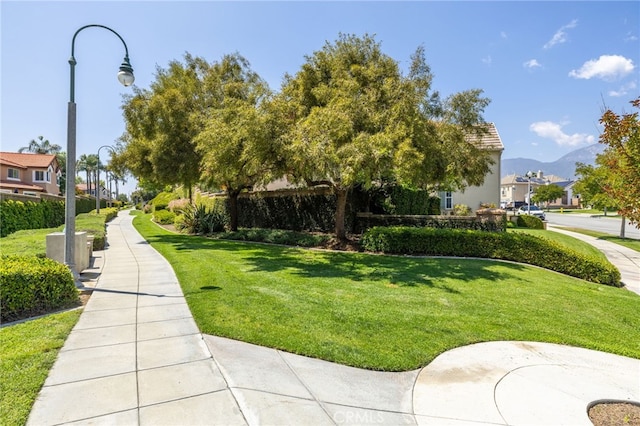 view of community with a lawn and a residential view