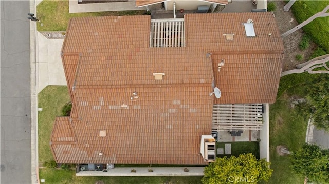 bird's eye view
