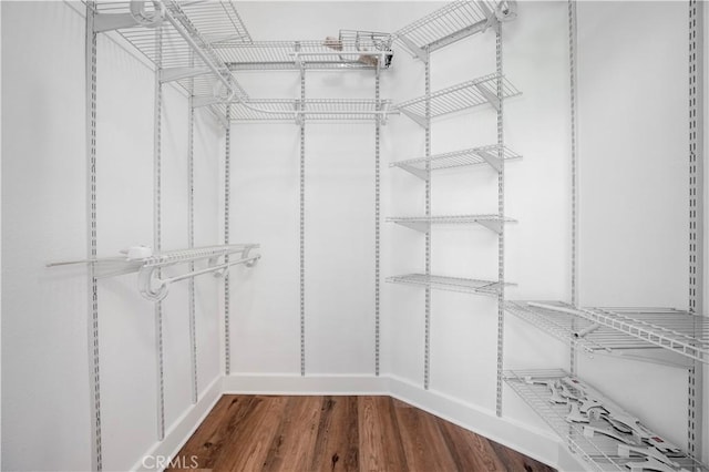 spacious closet with dark wood-style floors