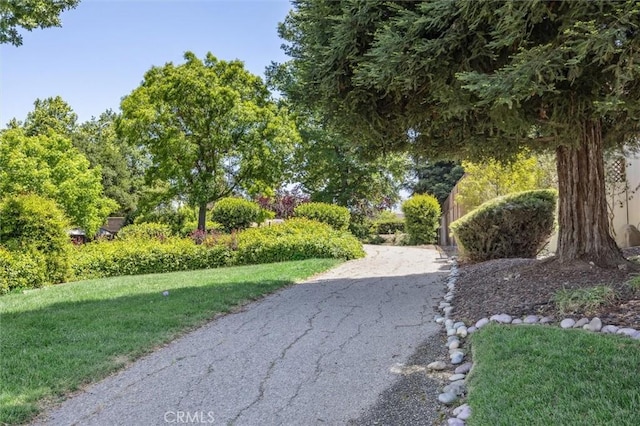 1042 Sleepy Hollow Rd, Paso Robles, CA 93446 - view of home's community featuring a yard
