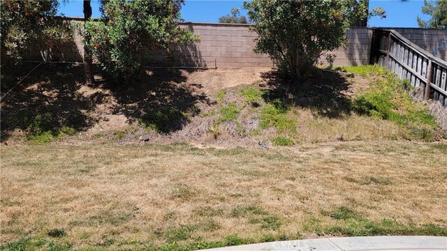 28799 Lavatera Ave, Murrieta, CA 92563 - view of yard with fence
