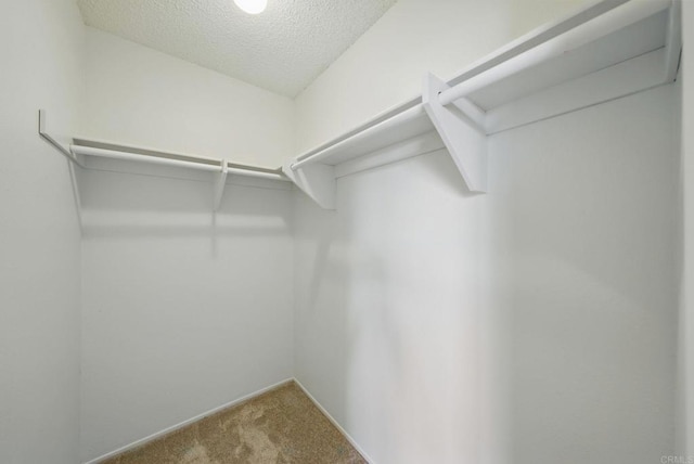 spacious closet with carpet