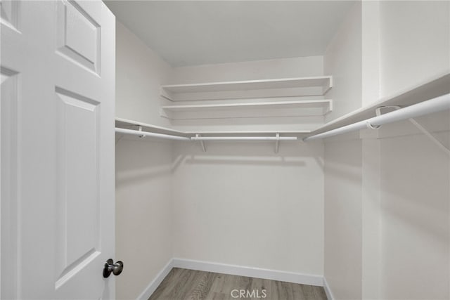 spacious closet featuring wood finished floors