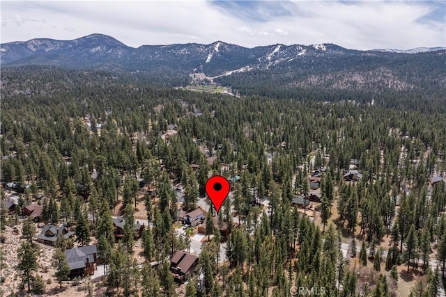 42507 Gold Rush Dr, Big Bear Lake, CA 92315 - photo 61