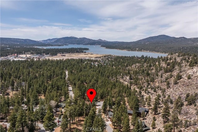 42507 Gold Rush Dr, Big Bear Lake, CA 92315 - photo 16