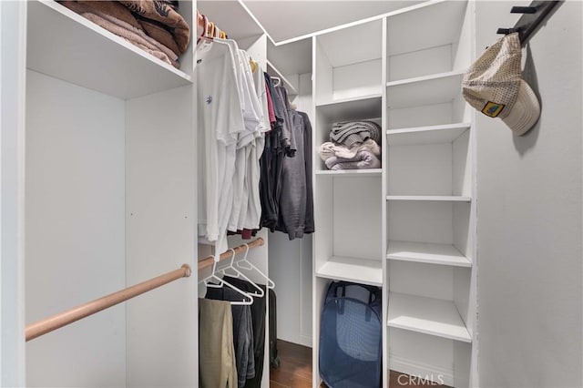 walk in closet featuring wood finished floors