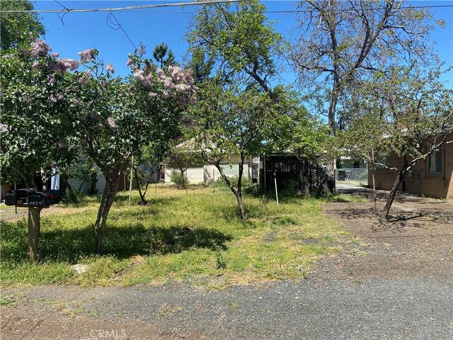 6444 14th Ave, Lucerne, CA 95458 - photo 4