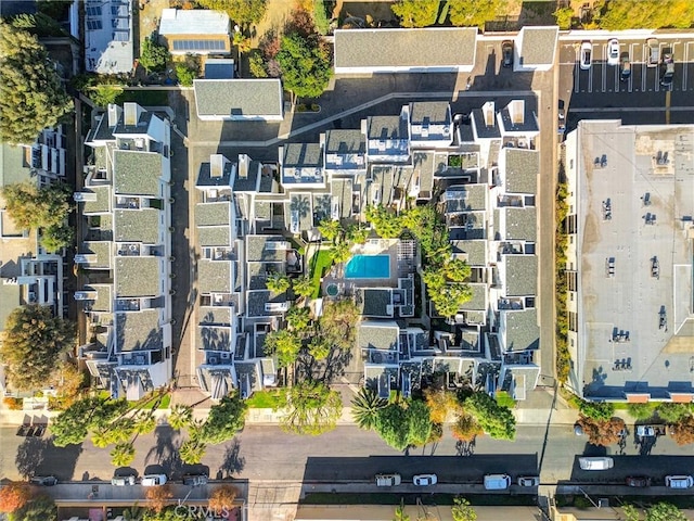 bird's eye view