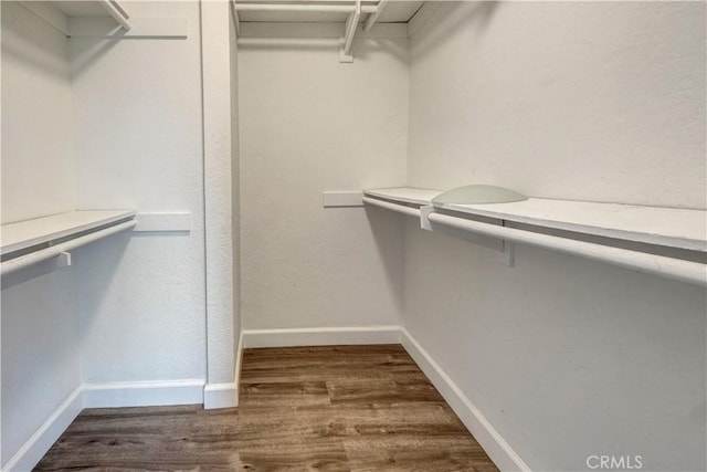 walk in closet with wood finished floors