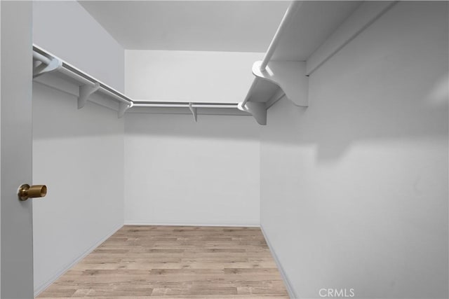 10535 Wilshire Blvd Unit D01, Los Angeles, CA 90024 - walk in closet with light wood-type flooring
