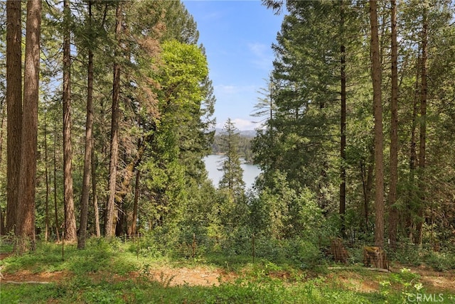 view of landscape featuring a wooded view