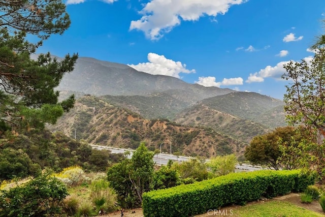 view of mountain feature