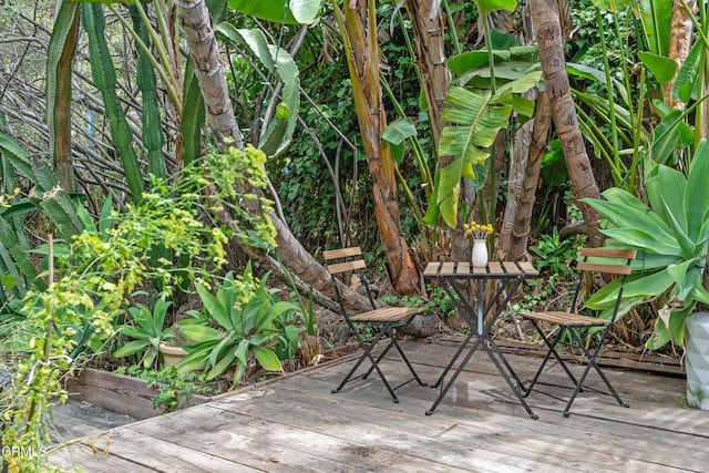 exterior space with a wooden deck