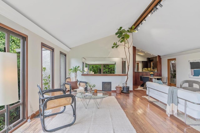 living area featuring rail lighting, lofted ceiling, and hardwood / wood-style flooring
