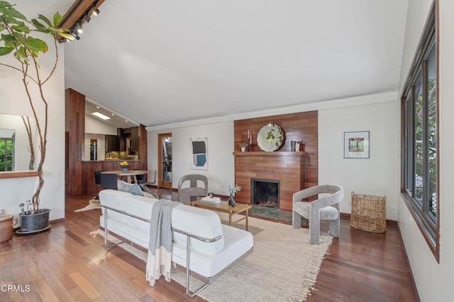 living area with vaulted ceiling, plenty of natural light, wood finished floors, and a high end fireplace