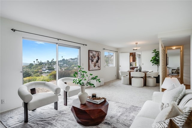 view of carpeted living area