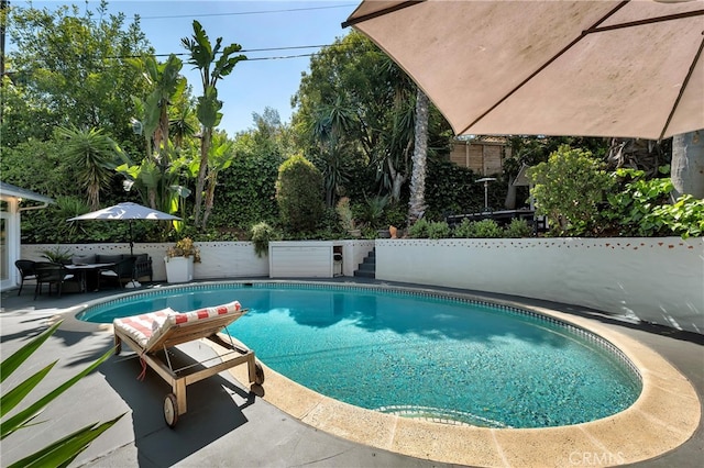view of swimming pool featuring a fenced in pool, a fenced backyard, and a patio