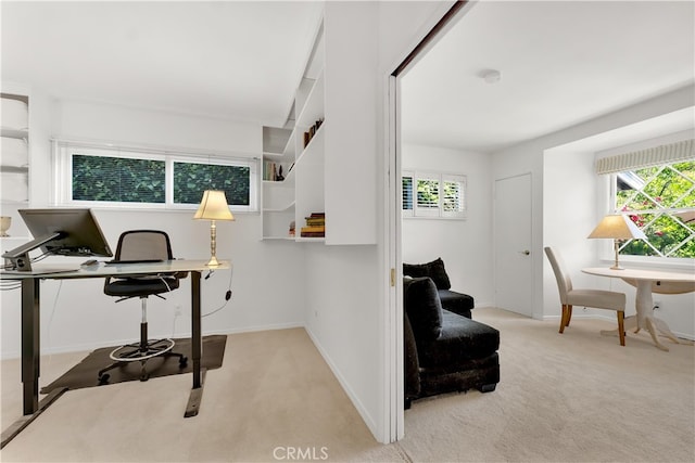 office space with baseboards, a wealth of natural light, and carpet