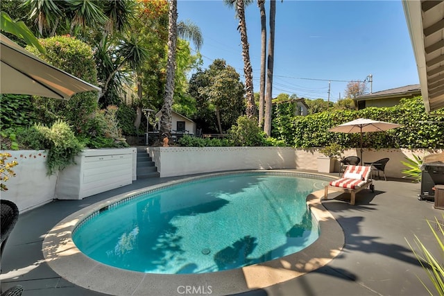 view of swimming pool featuring a fenced in pool, fence, and a patio