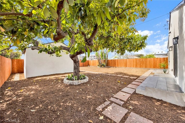 view of yard with a fenced backyard and a patio area