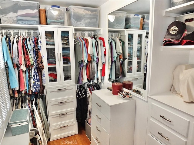 spacious closet with light wood finished floors