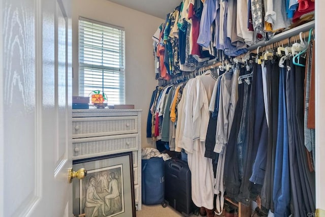 view of walk in closet
