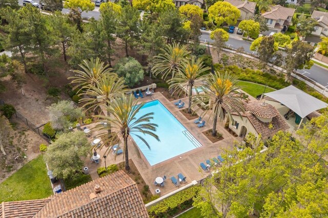 1752 Cottonwood Dr, Vista, CA 92081 - drone / aerial view of a pool area