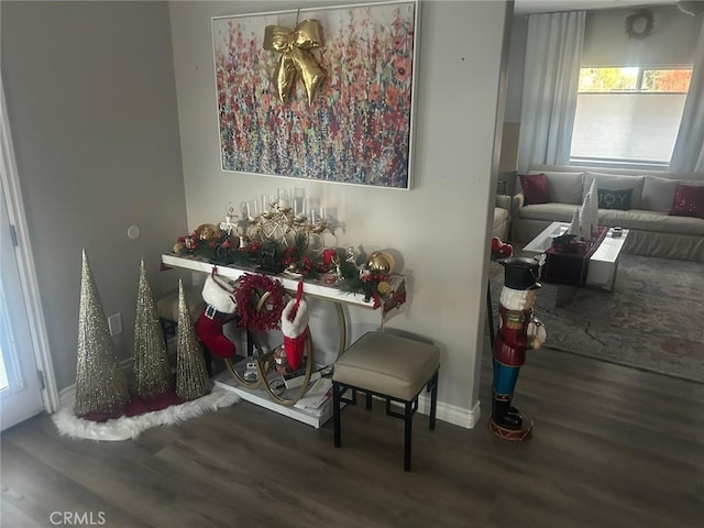 dining room with baseboards and wood finished floors