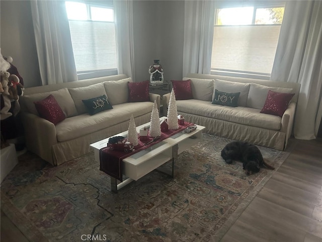 living area featuring a healthy amount of sunlight and wood finished floors