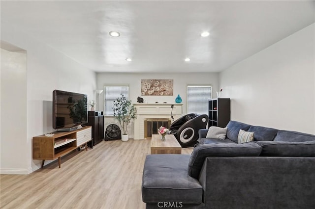 living area featuring plenty of natural light, light wood finished floors, and a fireplace