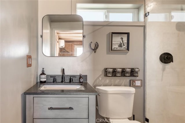 full bath featuring vanity, toilet, and a shower