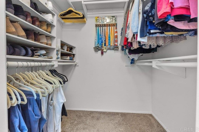spacious closet with carpet flooring