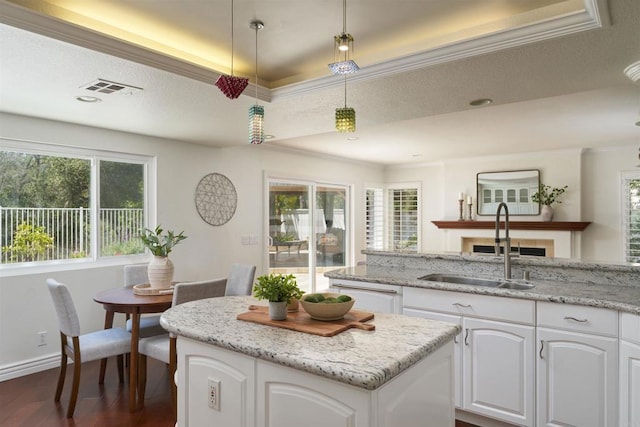 1719 Willowhaven Rd, Encinitas, CA 92024 - kitchen featuring a sink, visible vents, dark wood-style flooring, a raised ceiling, and a kitchen island