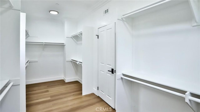 walk in closet with light wood-style floors and visible vents