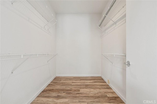 37388 Medjool, Palm Desert, CA 92211 - walk in closet with wood finished floors