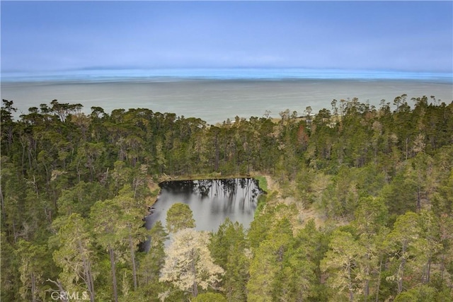 property view of water featuring a view of trees