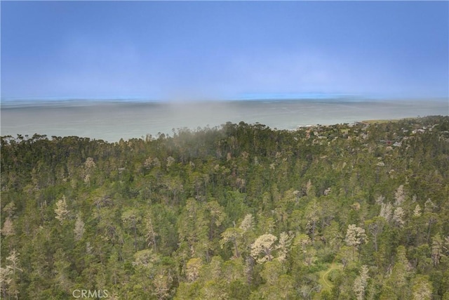 property view of water featuring a view of trees