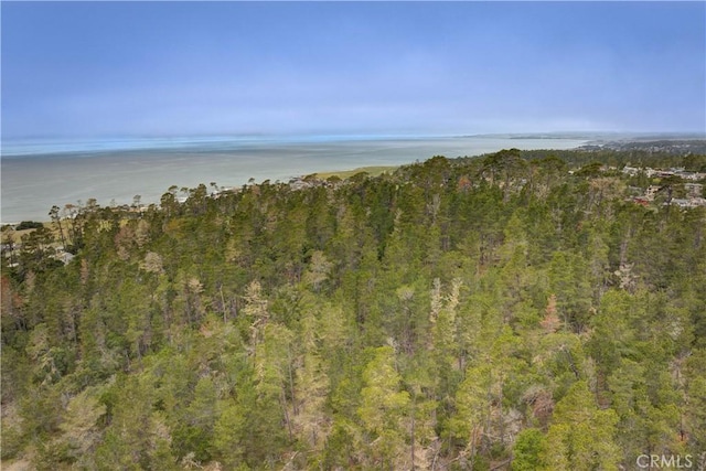 property view of water featuring a forest view