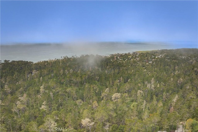 property view of water featuring a wooded view